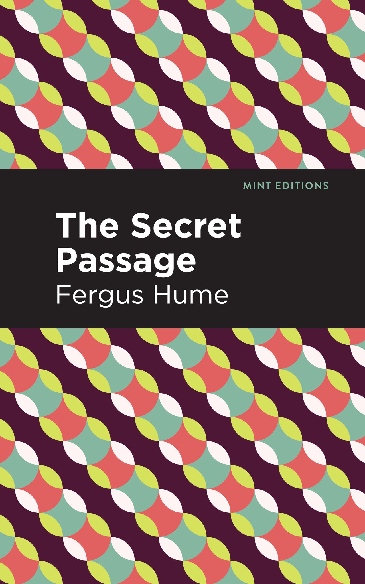 Cover image for The Secret Passage ISBN 9781513205489